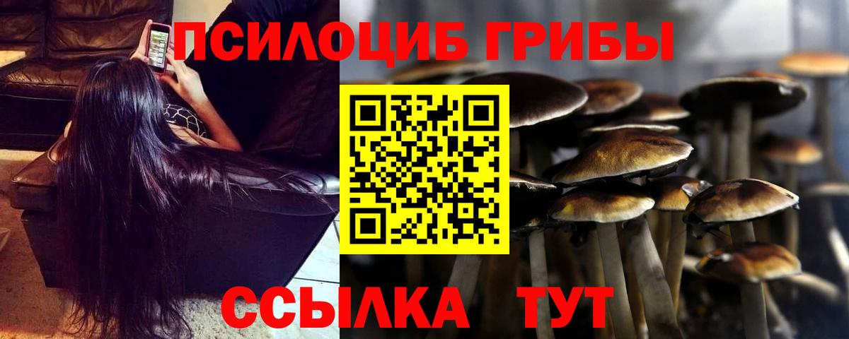 Псилоцибиновые грибы Psilocybe Мариинск